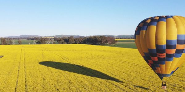 canola hot air balloon flight