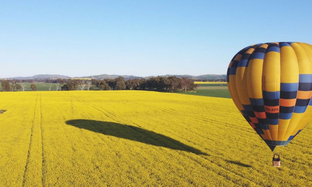 canola hot air balloon flight