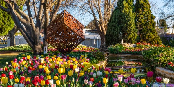 where to see spring flowers in sydney