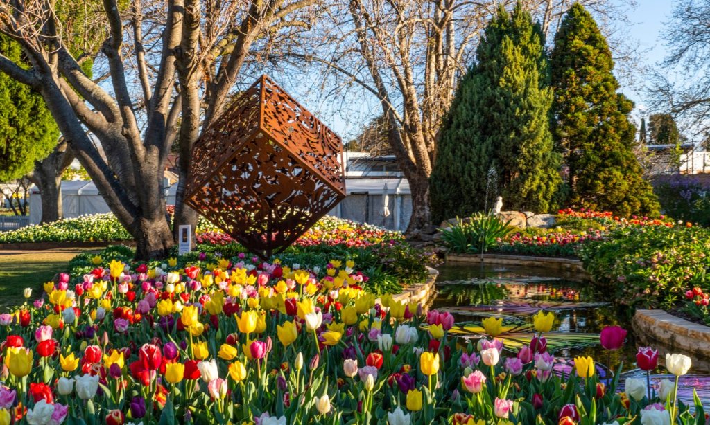 where to see spring flowers in sydney