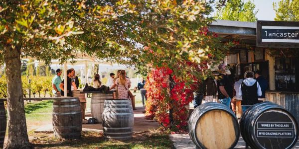 best wineries swan valley