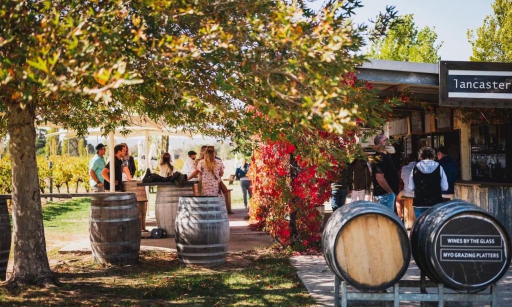 best wineries swan valley