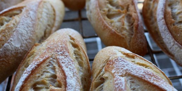 Best bakeries Brisbane