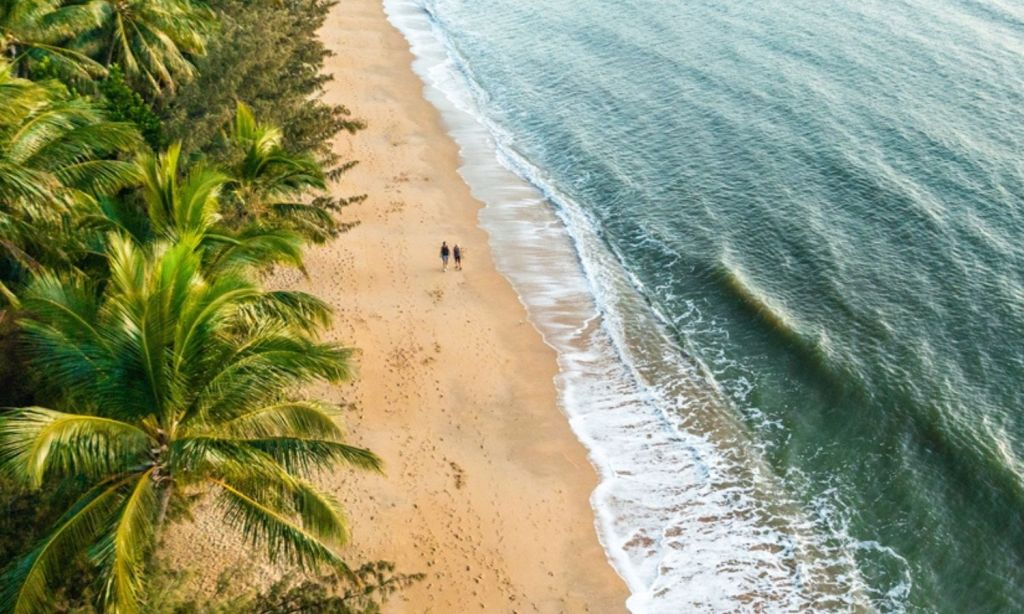 Palm Cove best beaches in the world