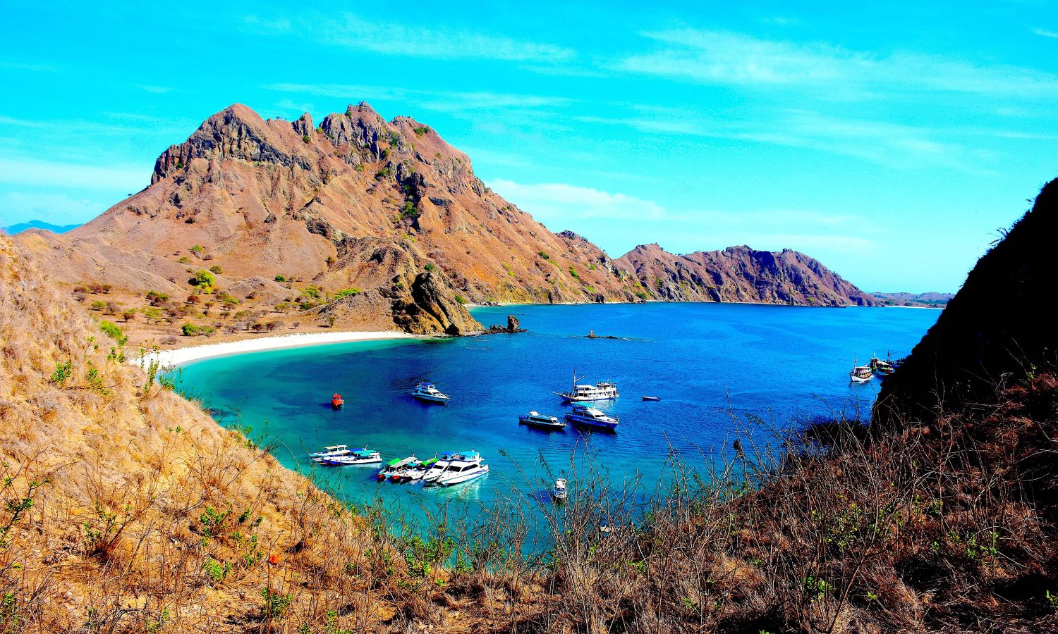 Komodo National Park travel destinations 2025