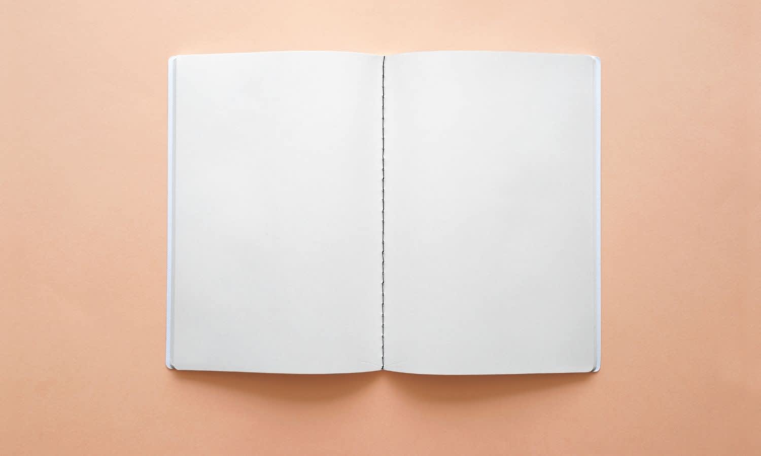 Journal