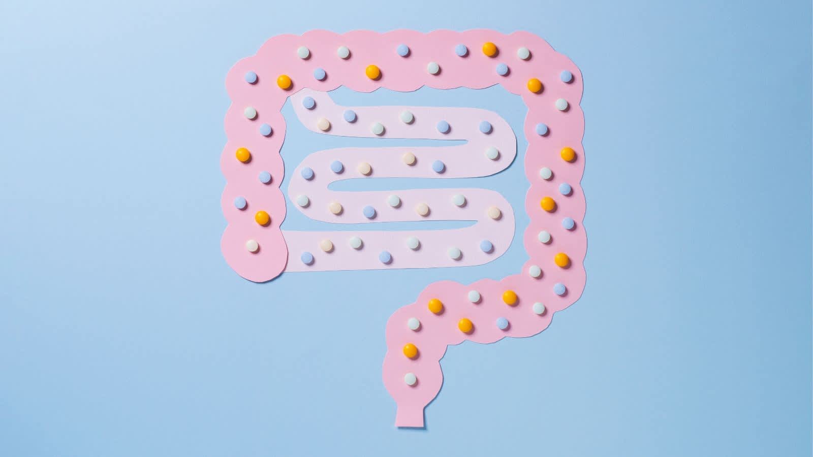 Gut Health