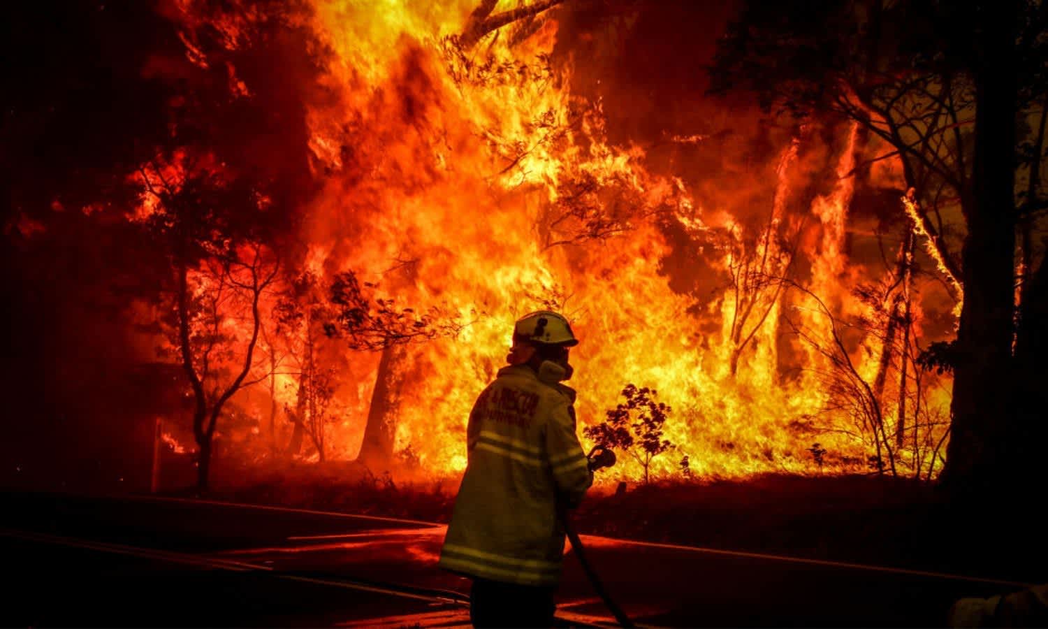 Bushfires