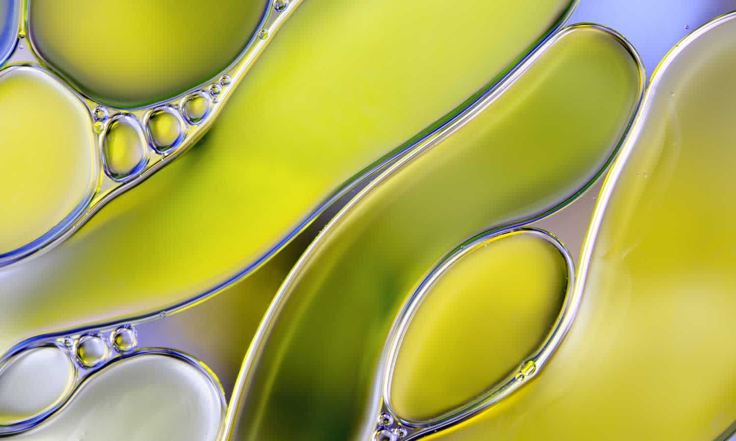 cbd-oil
