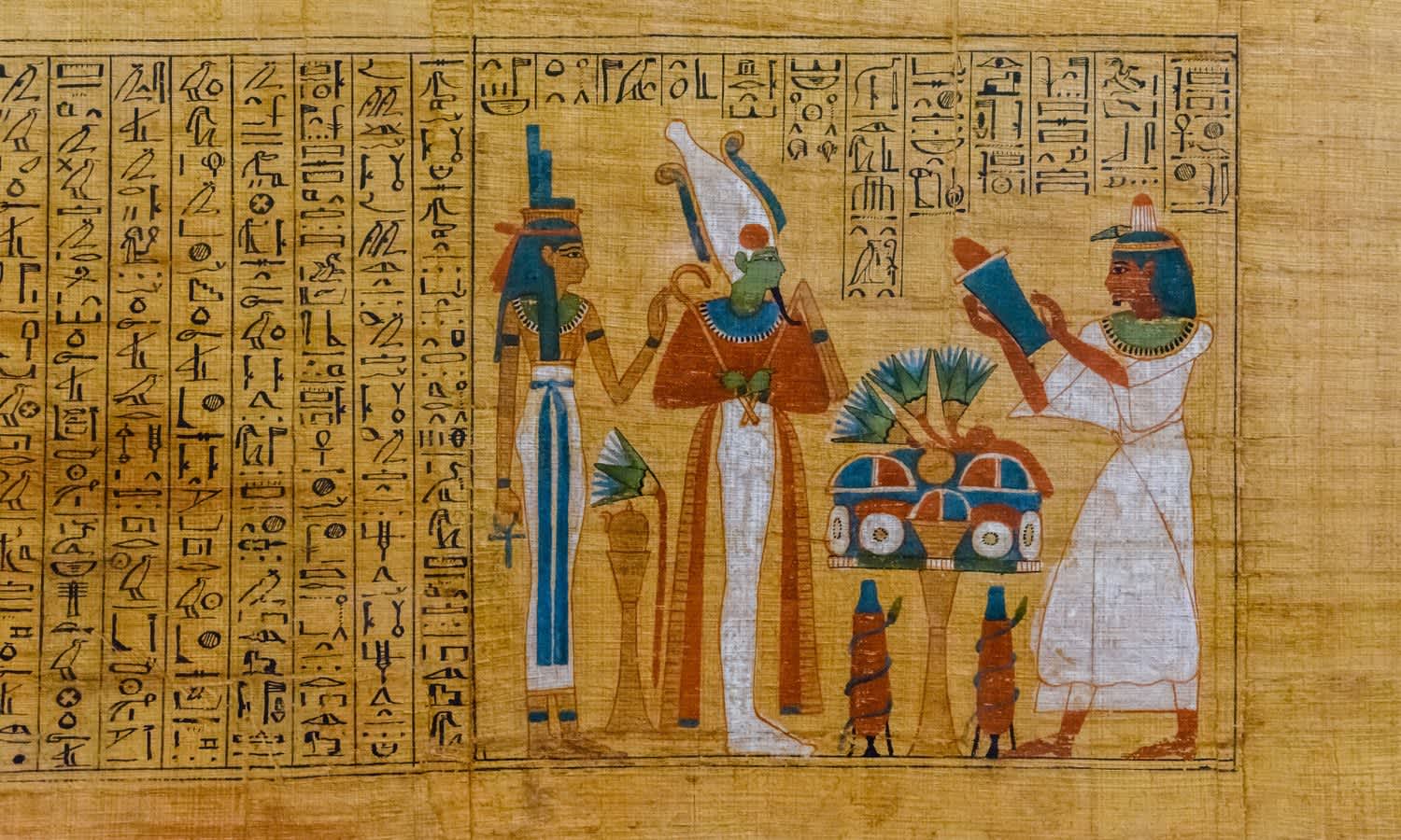 Papyrus