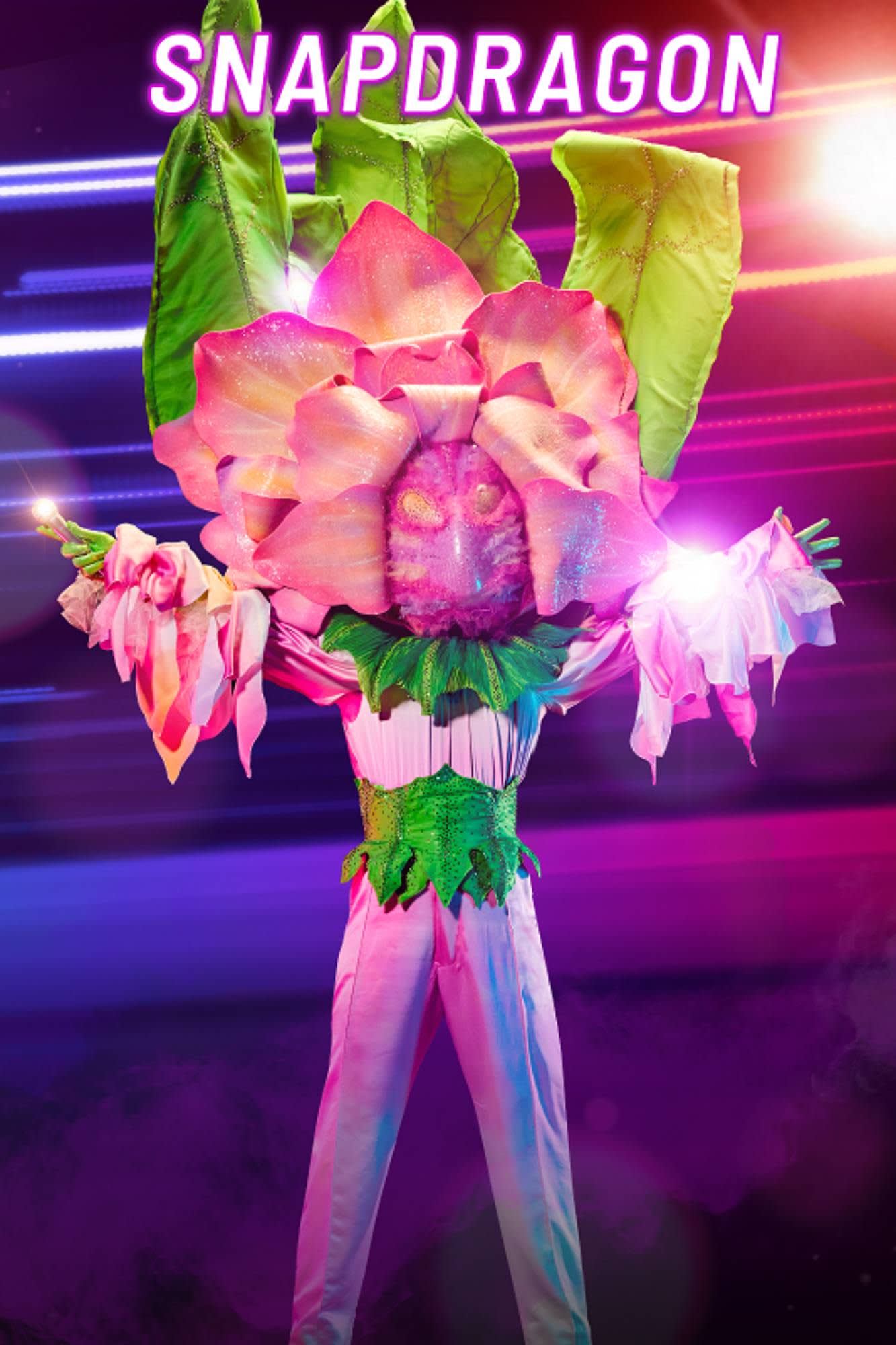 snapdragon masked singer