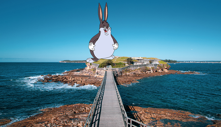 The Big Chungus