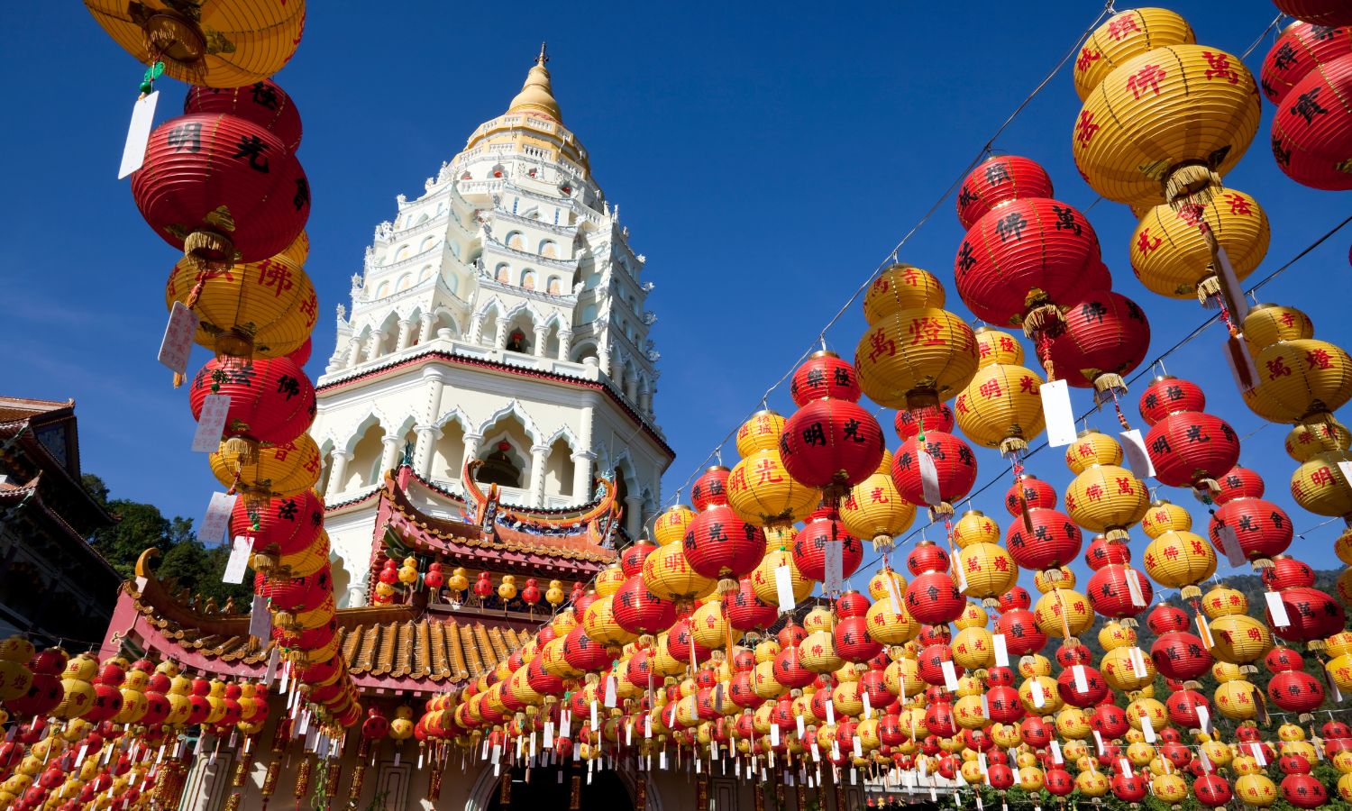 best cities in asia for digital nomads 